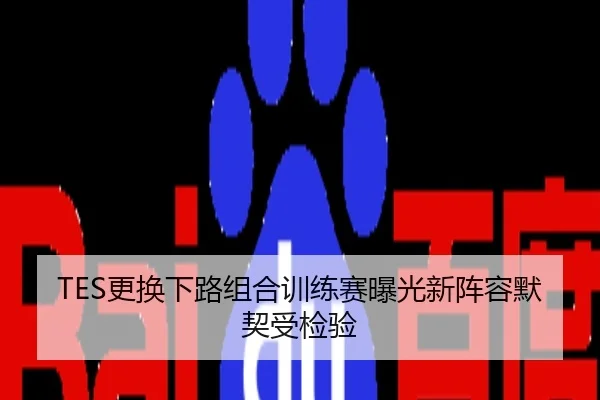TES更换下路组合训练赛曝光新阵容默契受检验